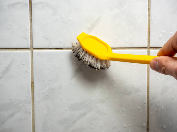 Best Residential Mold Removal  in Lorton, VA