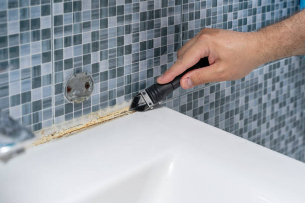 Best Office Mold Removal Services  in Lorton, VA