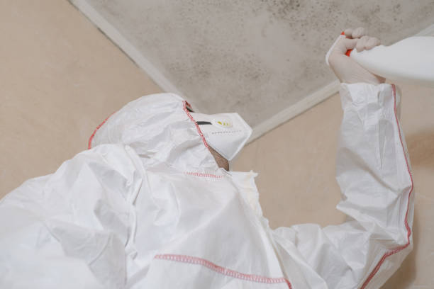 Best Professional Mold Removal  in Lorton, VA